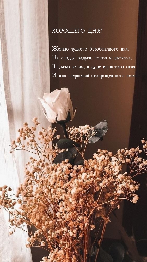 ����� ������� ������������ ���