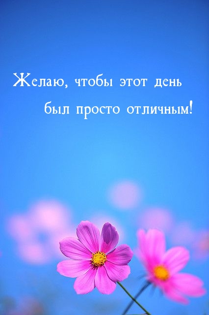 ,      !