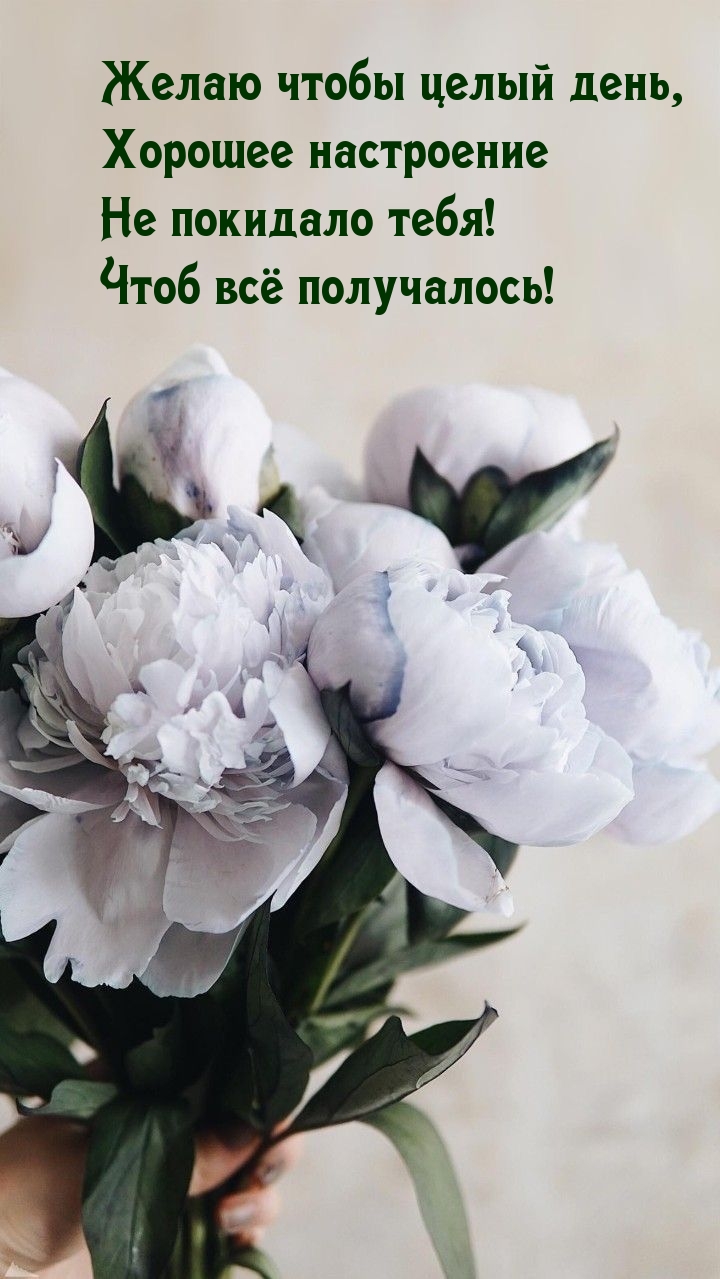 ����� ������� ���������� �� �������� ����!