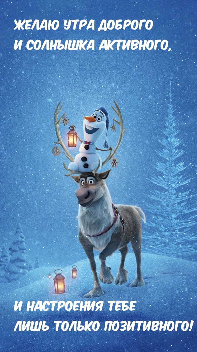 ���� �������! �������� ���������!