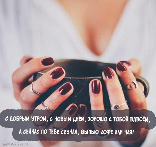 Открыть в полном размере С добрым утром, с новым днем, хорошо с тобой вдвоем!