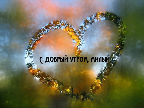 Открыть в полном размере С добрым утром, милый!