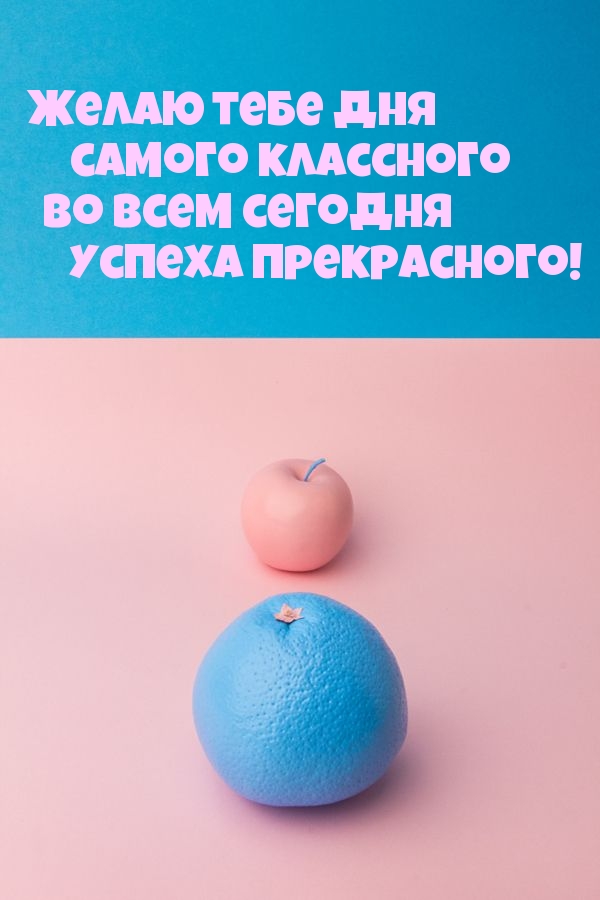 ������ ���������! �� ���� �������       ������!