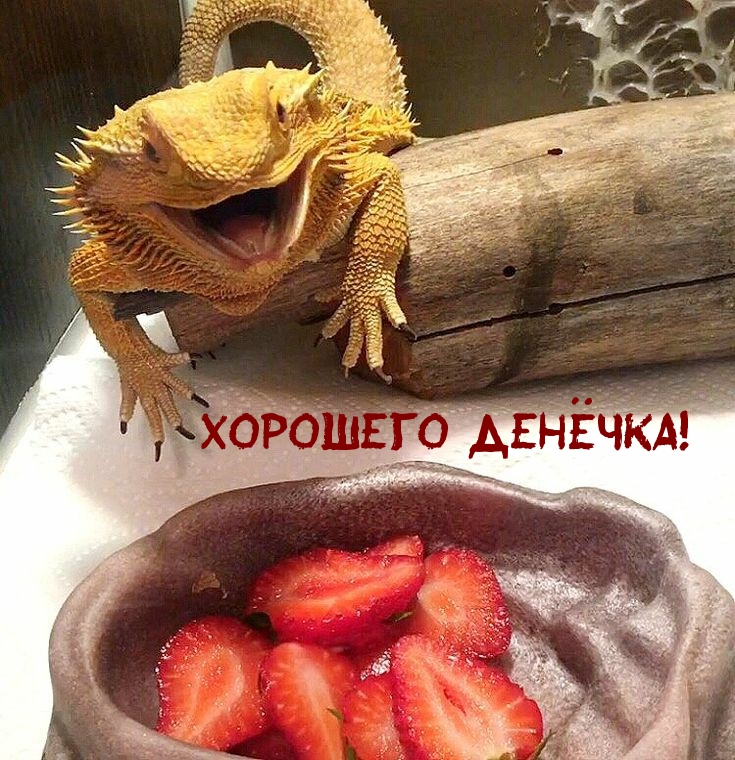  ë!