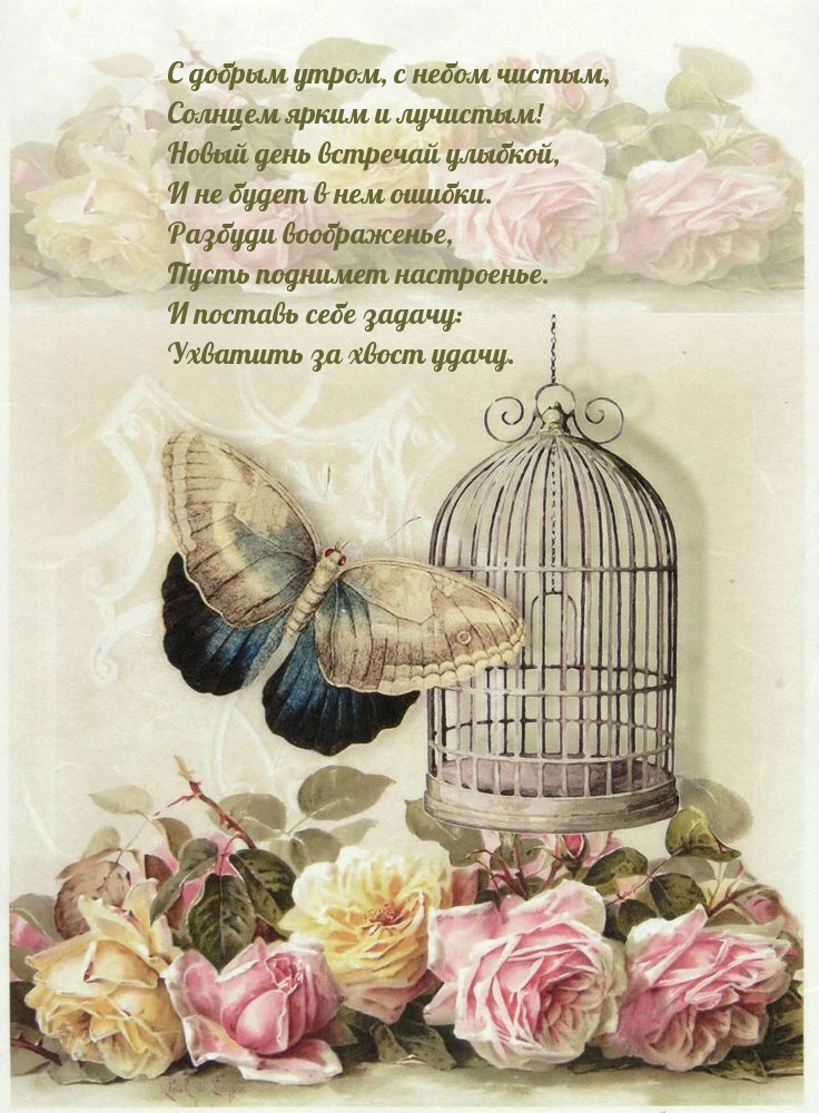 Открыть в полном размере С добрым утром, с небом чистым