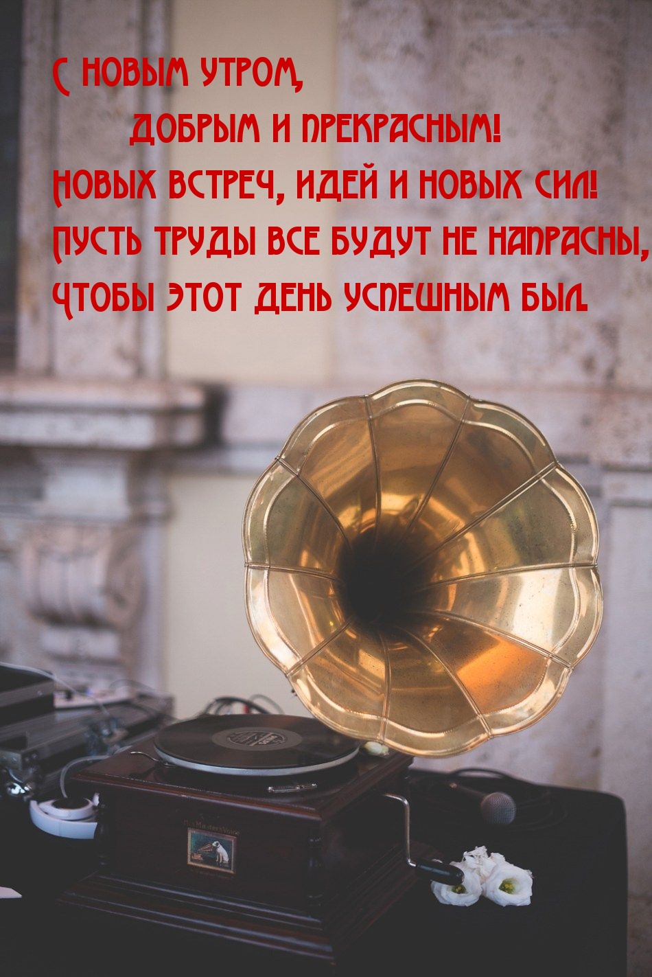 Открыть в полном размере С новым утром, добрым и прекрасным!