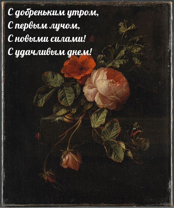 Открыть в полном размере С добреньким утром! С удачливым днем!