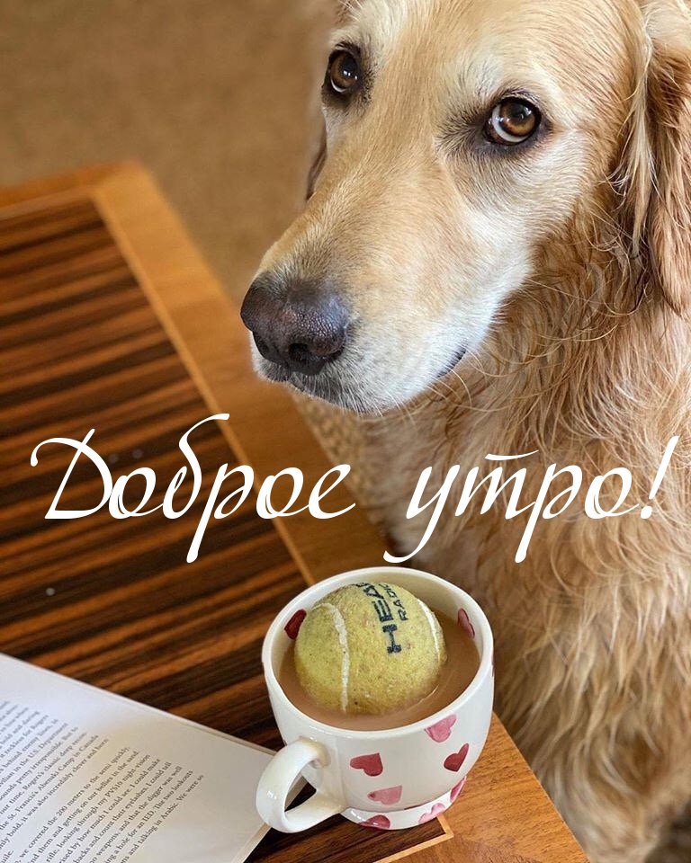  !