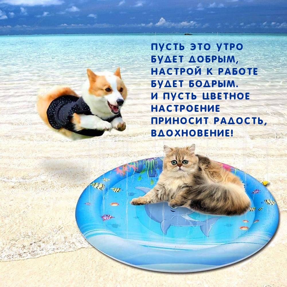     !