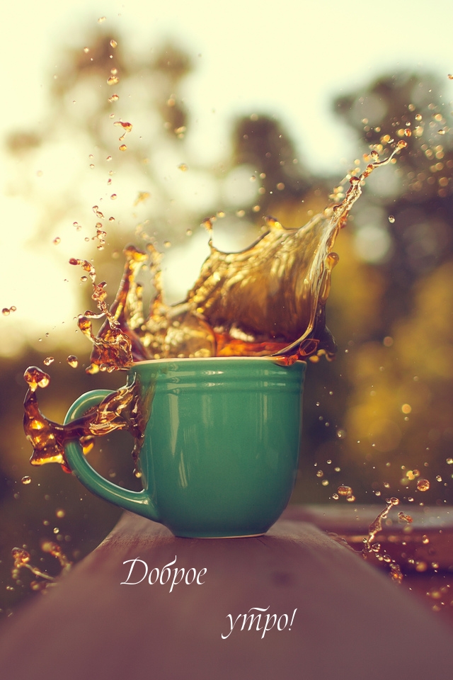 Открыть в полном размере Доброе утро!