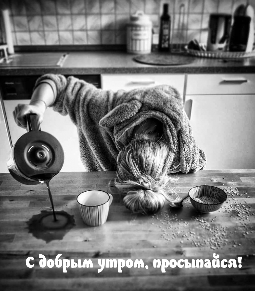 Открыть в полном размере С добрым утром, просыпайся!