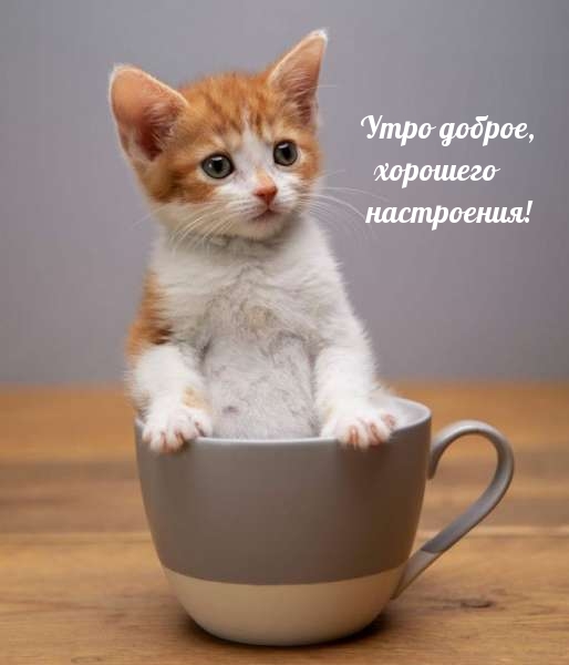 ���� ������, �������� ����������!