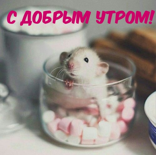   !