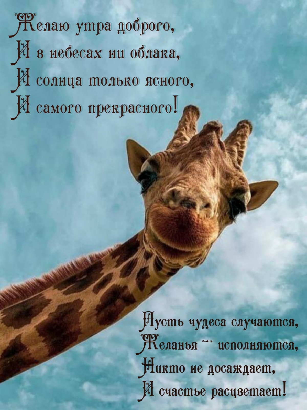 Открыть в полном размере Желаю утра доброго! Стихотворение