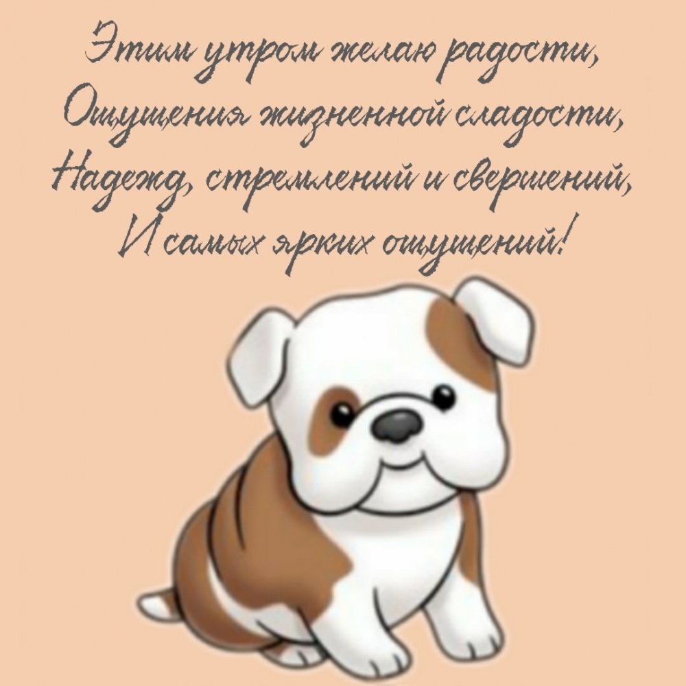 Этим утром желаю радости! Этим утром желаю радости!