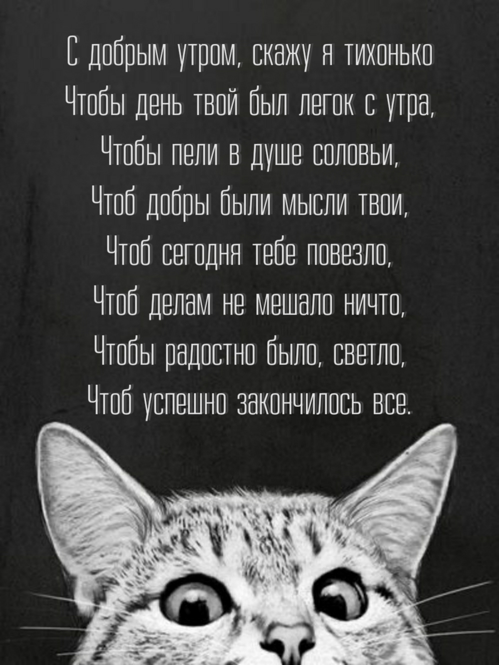   ,   