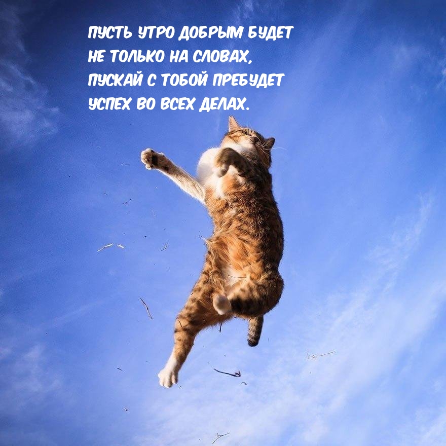 Открыть в полном размере Пусть утро добрым будет не только на словах