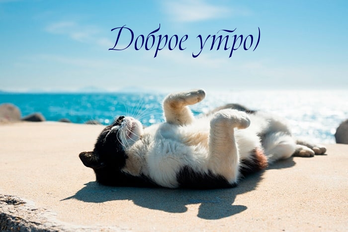  )