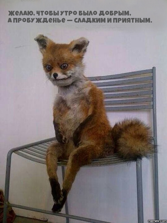 Открыть в полном размере Желаю, чтобы утро было добрым!