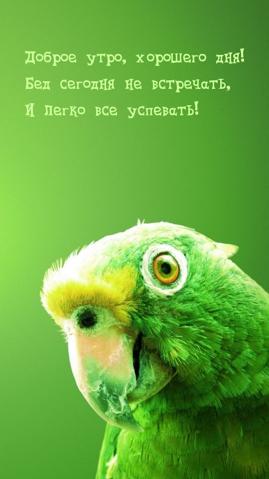  ,  !    !