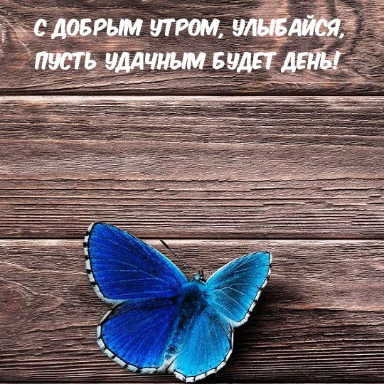   , ,    !