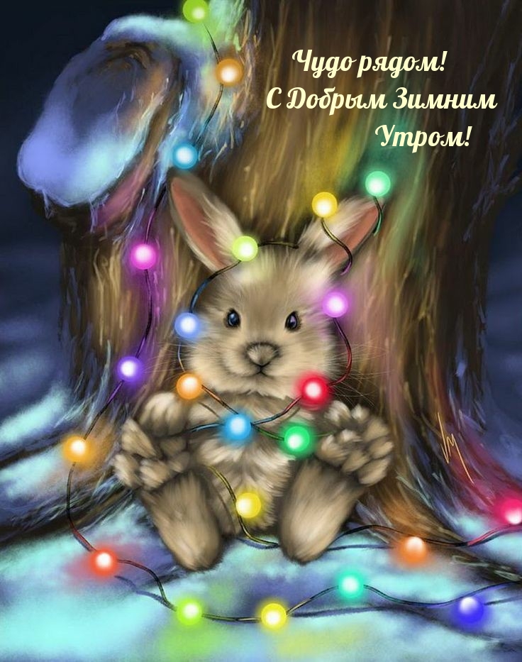  !    !
