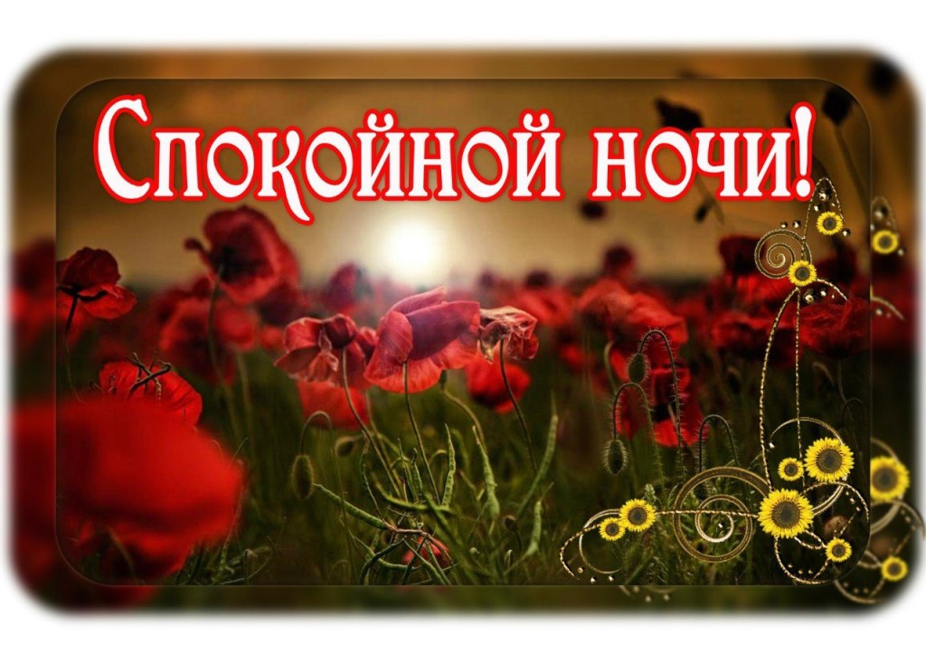 Открыть в полном размере Спокойной ночи!