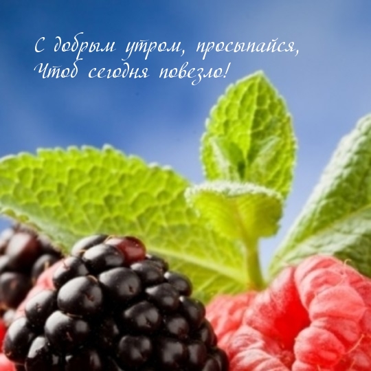 Открыть в полном размере С добрым утром, просыпайся, Чтоб сегодня повезло!