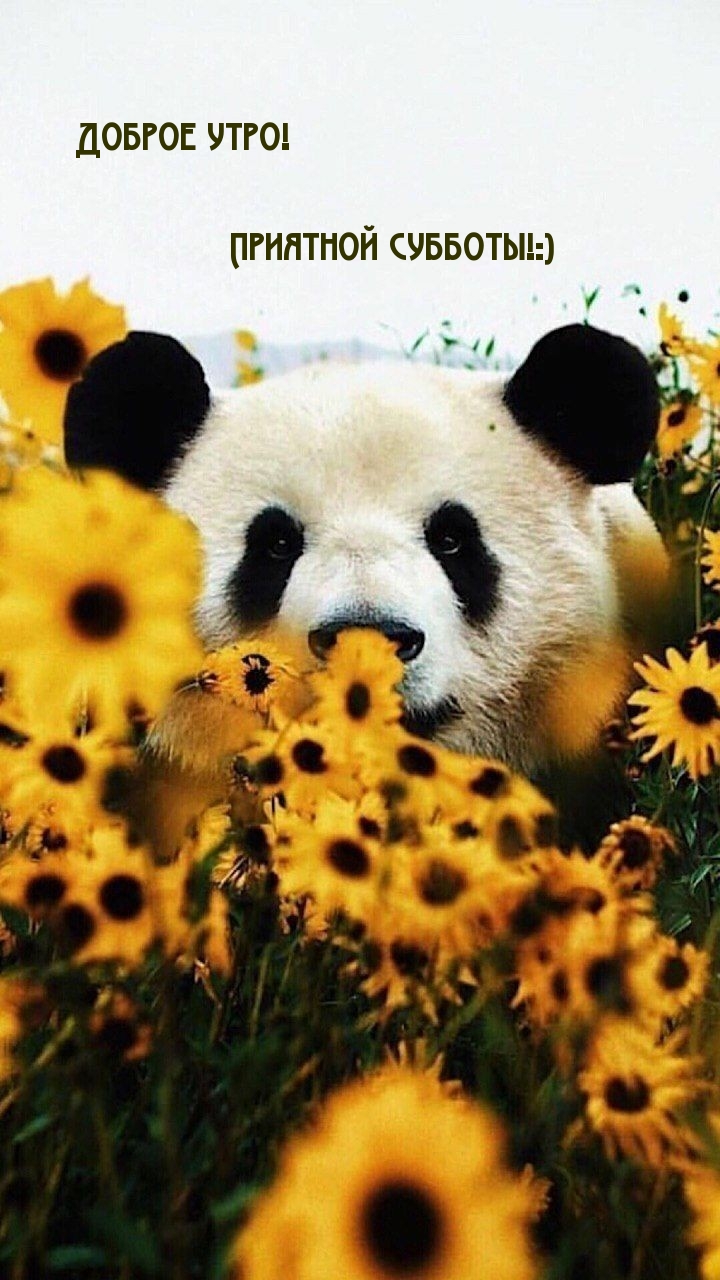  !  !:)
