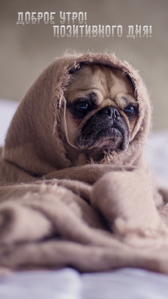 Открыть в полном размере Доброе утро! Позитивного дня!