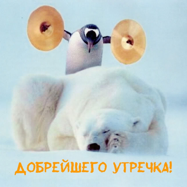 Открыть в полном размере Добрейшего утречка!