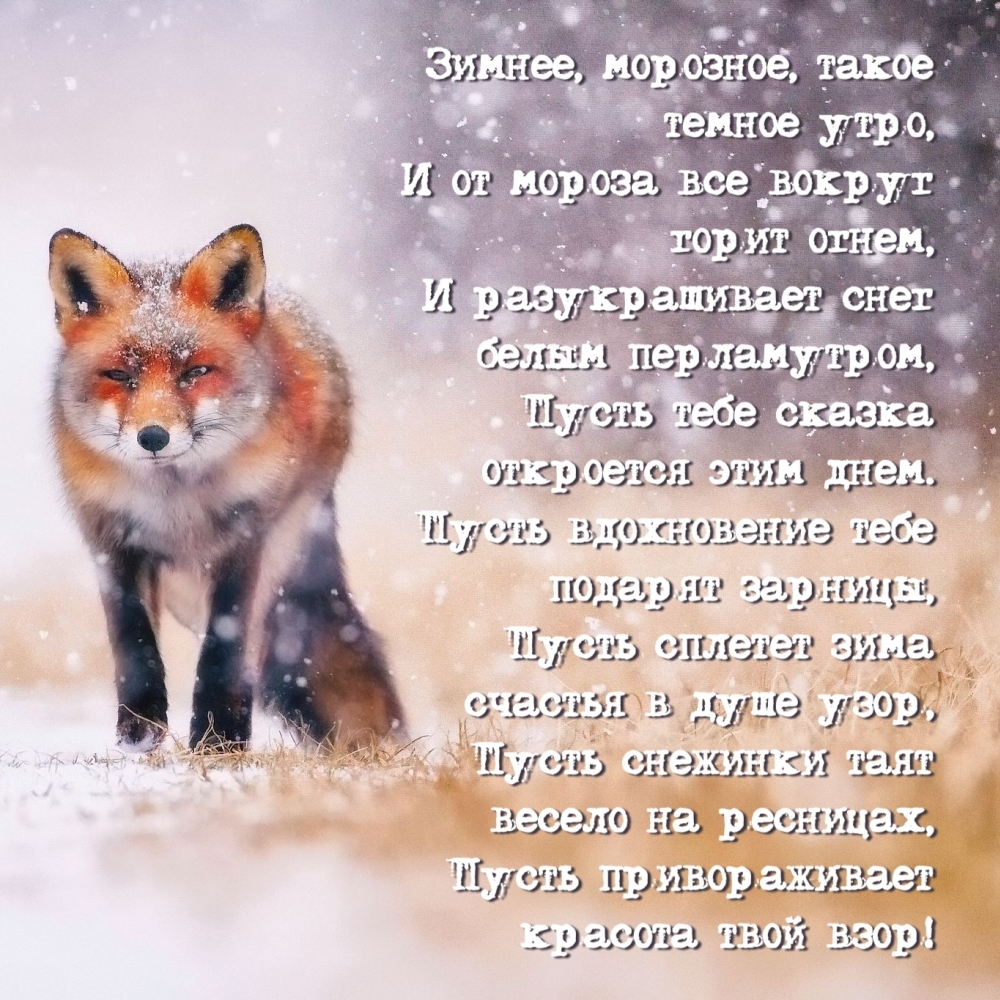 , ,   