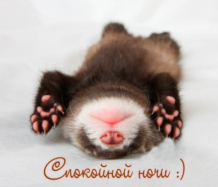 ��������� ���� :)