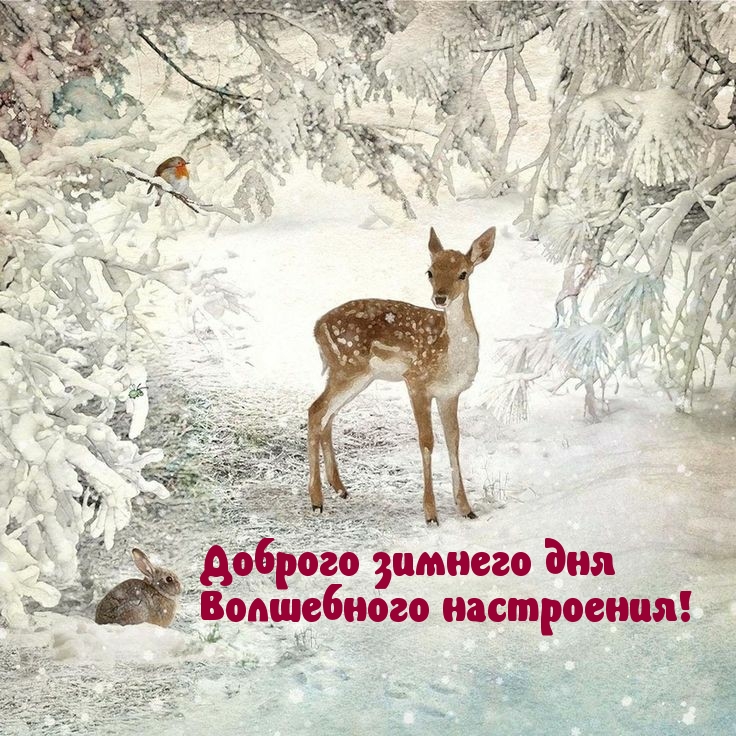 Доброго зимнего дня! Волшебного настроения! Доброго зимнего дня! Волшебного настроения!