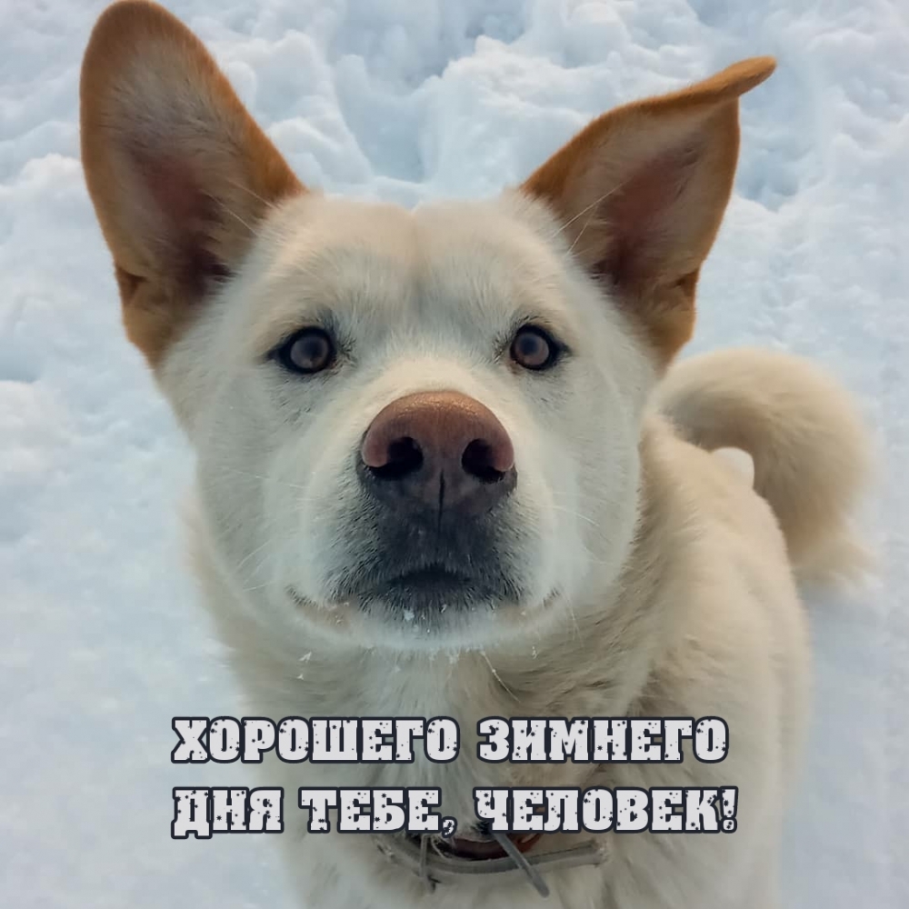 �������� ������� ��� ����, �������!