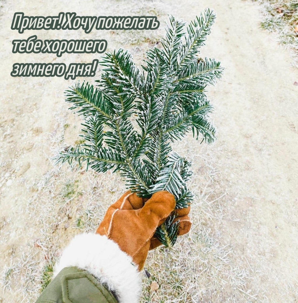 ������! ���� �������� ���� �������� ������� ���!