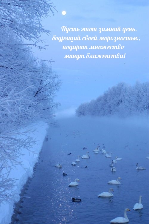 ����� ���� ������ ���� ������� ��������� ����������