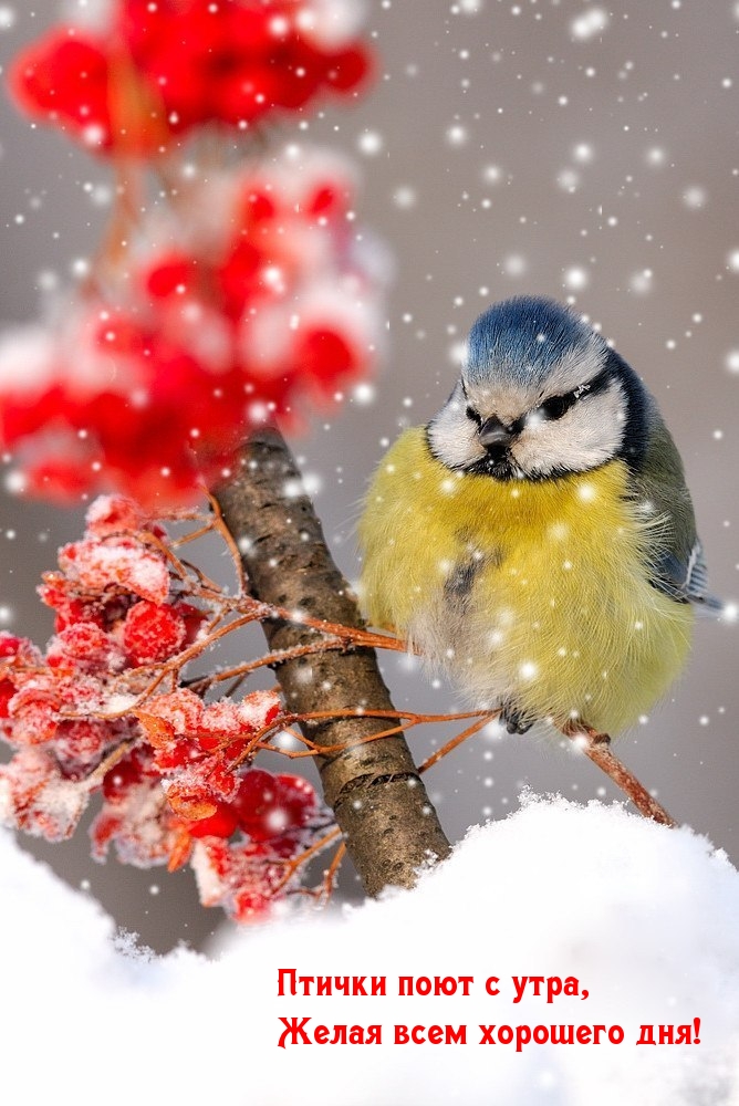 ������ ���� � ����, ����� ���� �������� ���!