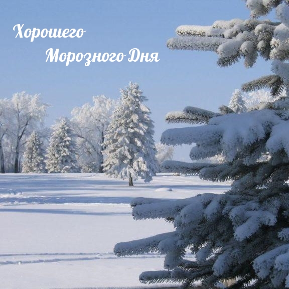 �������� ��������� ���