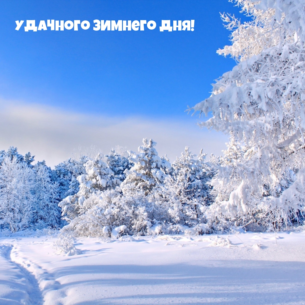 Открыть в полном размере Удачного Зимнего Дня!