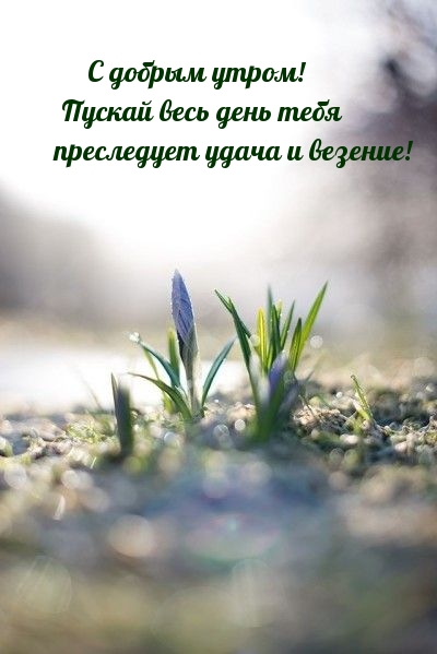 Пускай весь день тебя преследует удача и везение! Пускай весь день тебя преследует удача и везение!