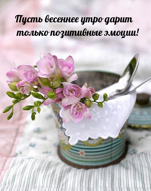 Пусть весеннее утро дарит только позитивные эмоции! Пусть весеннее утро дарит только позитивные эмоции!