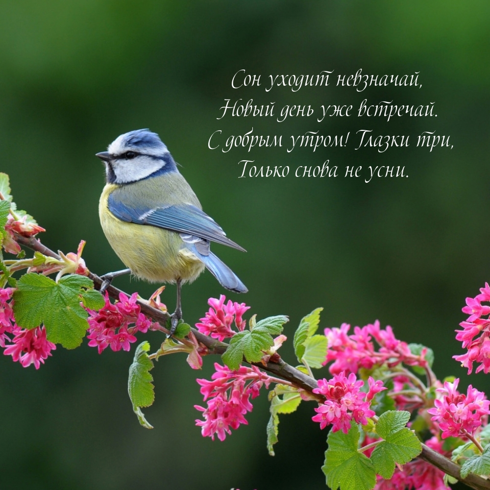 � ������ �����! ������ ���, ������ ����� �� ����