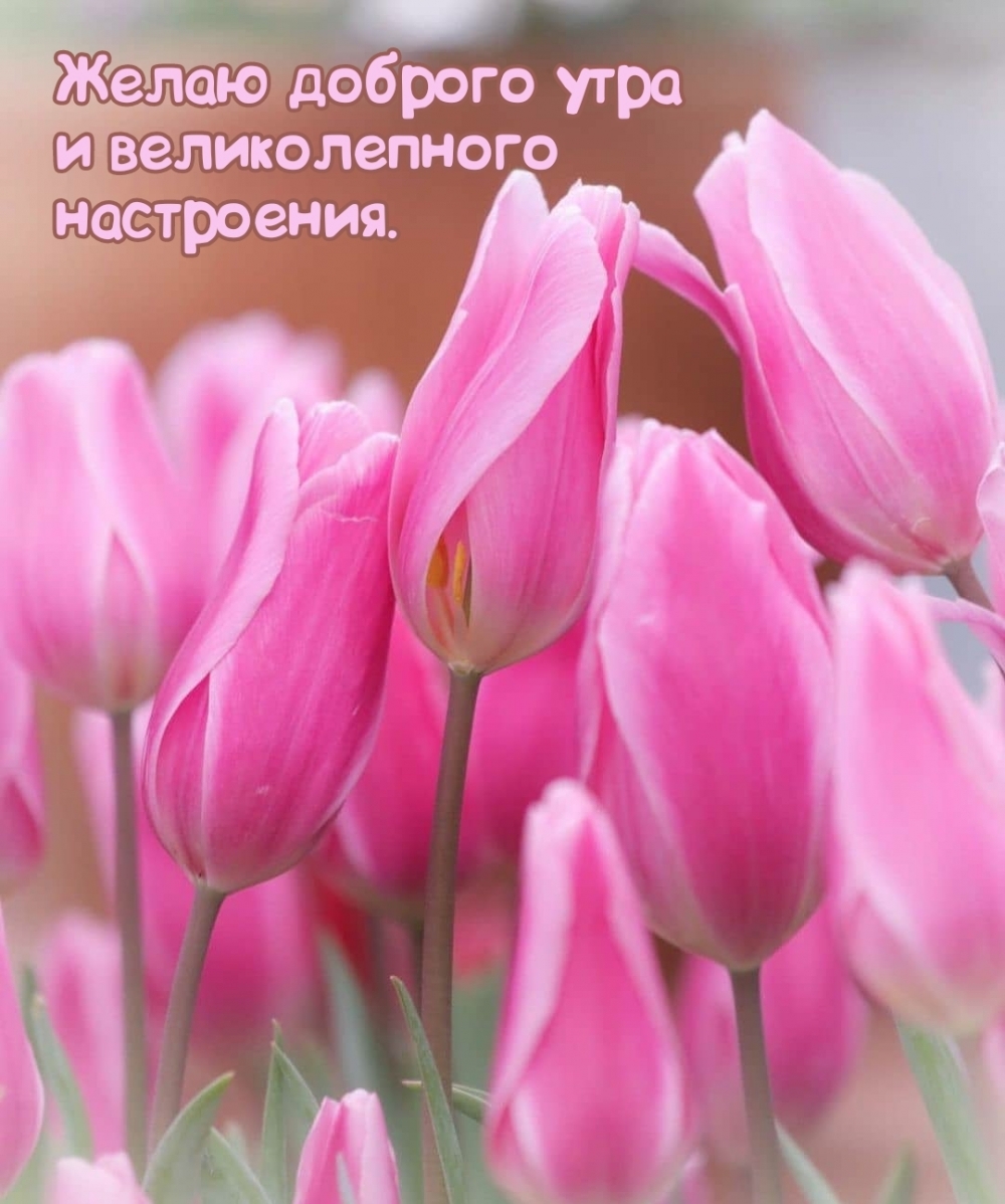 ����� ������� ���� � ������������� ����������.