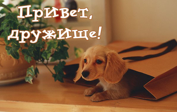 ������ ��������!