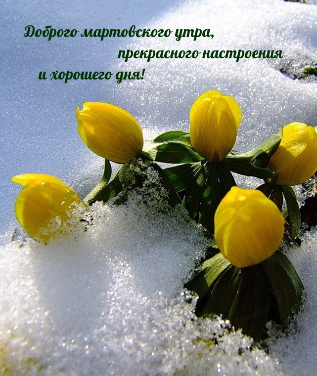 ������� ����������� ����, ����������� ���������� � �������� ���!