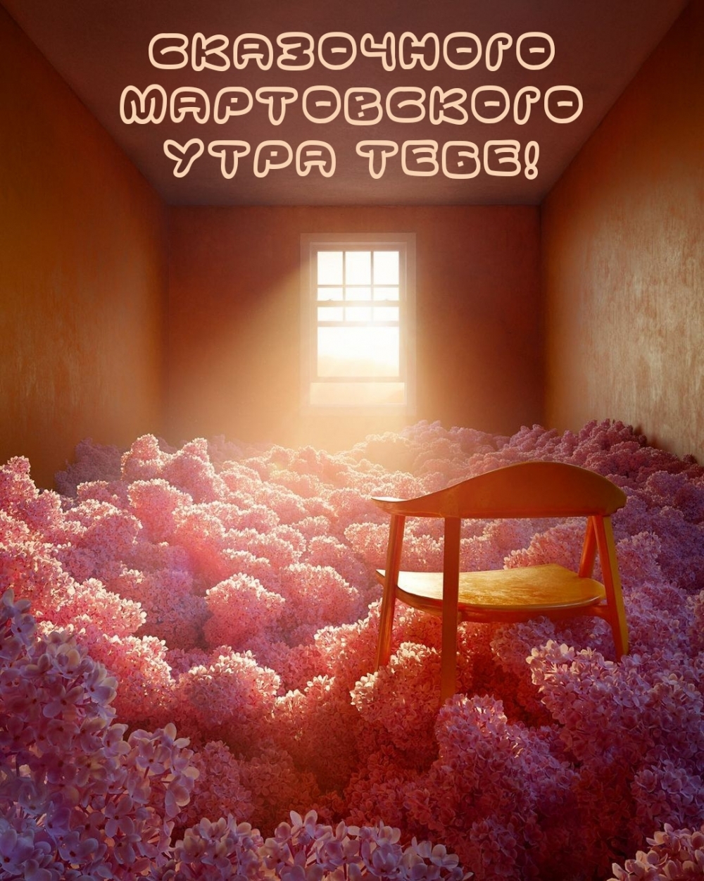 ���������� ����������� ���� ����!