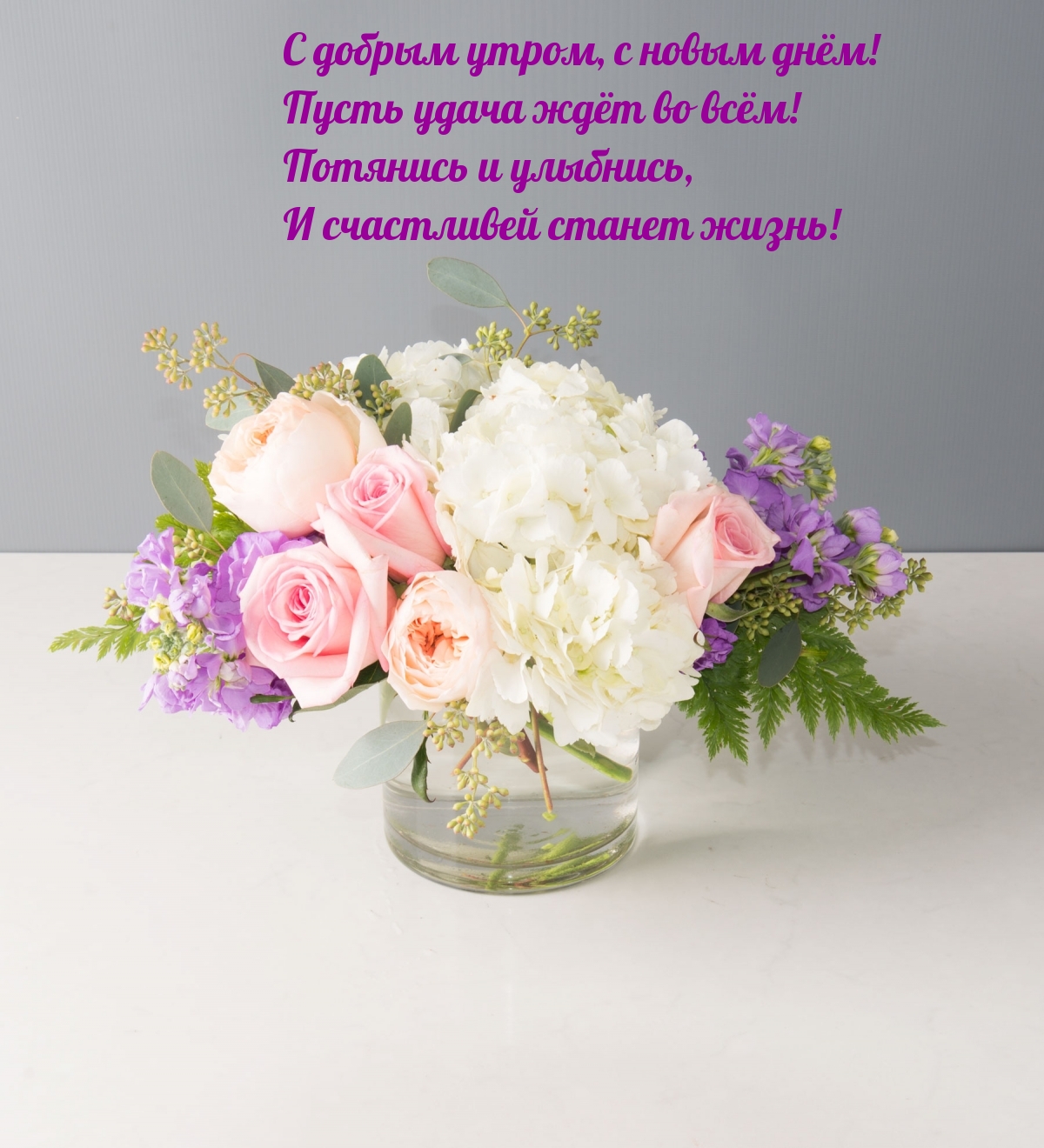 �������� � ��������, � ���������� ������ �����!