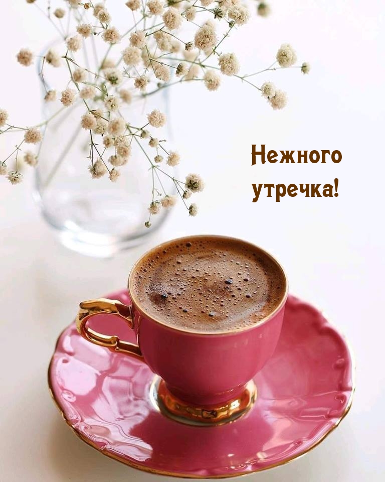 Открыть в полном размере Нежного утречка!
