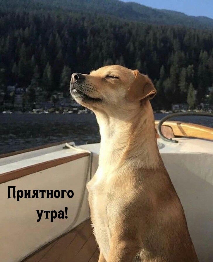  !